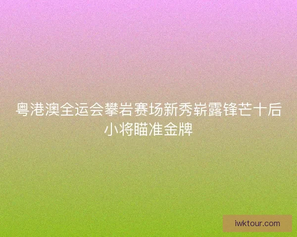 粤港澳全运会攀岩赛场新秀崭露锋芒十后小将瞄准金牌